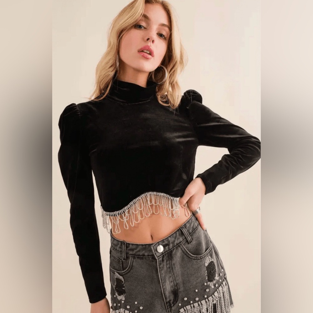 Fab’rik: Rhinestone Fringe Velvet Blouse Size Large (NWT & Boutique)